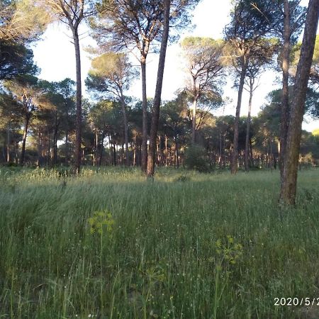 Casa Rural Los Pinos Hinojos Екстер'єр фото
