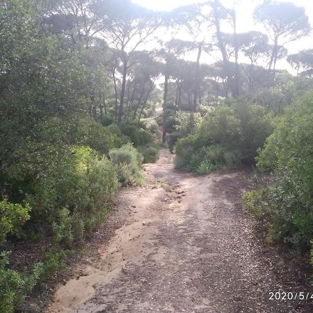 Casa Rural Los Pinos Hinojos Екстер'єр фото