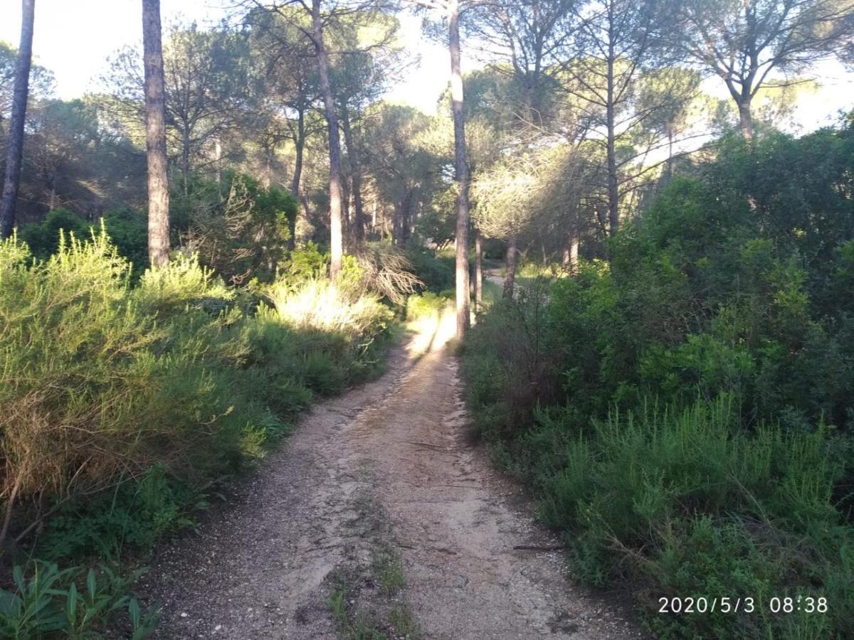 Casa Rural Los Pinos Hinojos Екстер'єр фото