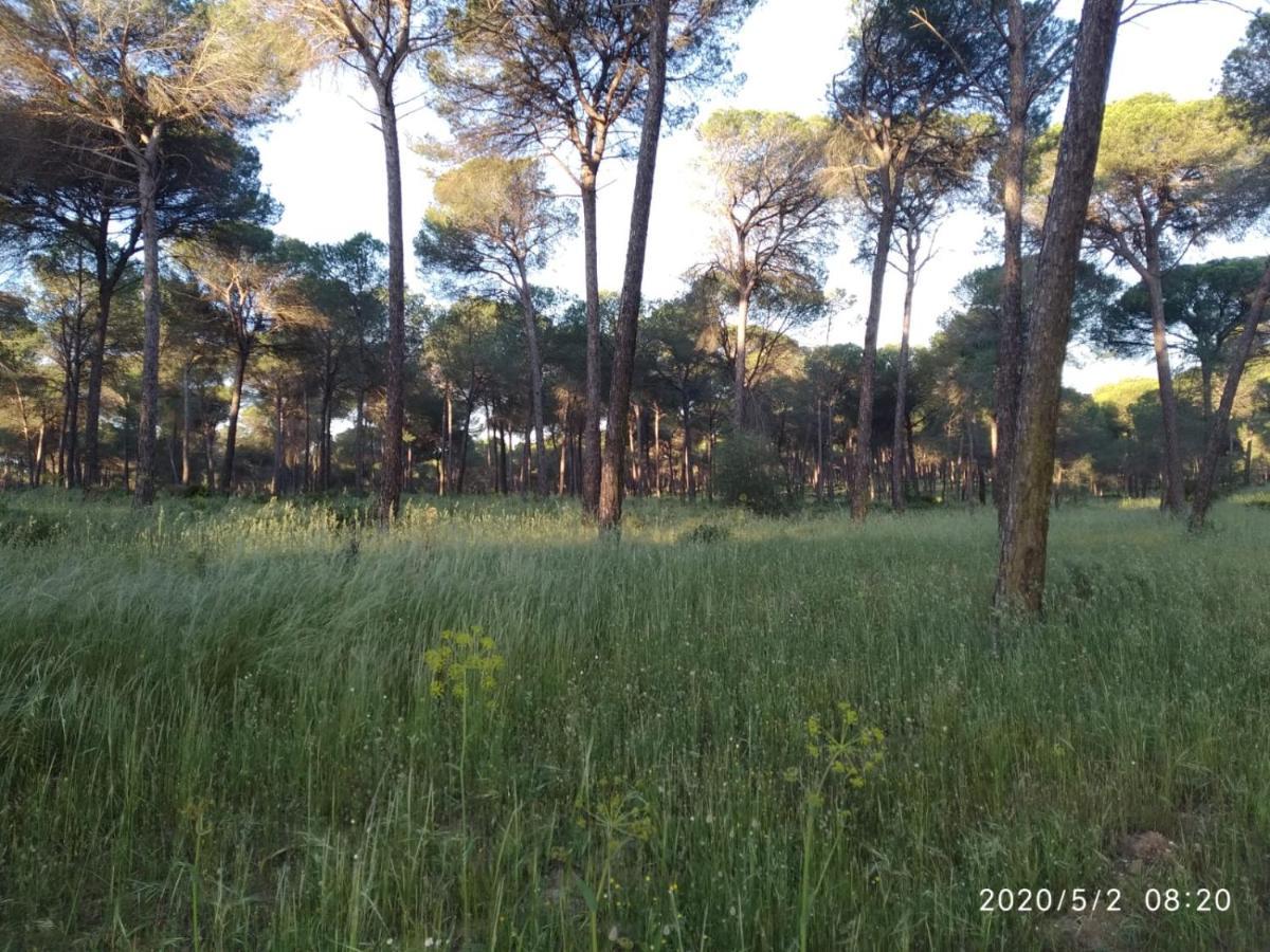 Casa Rural Los Pinos Hinojos Екстер'єр фото