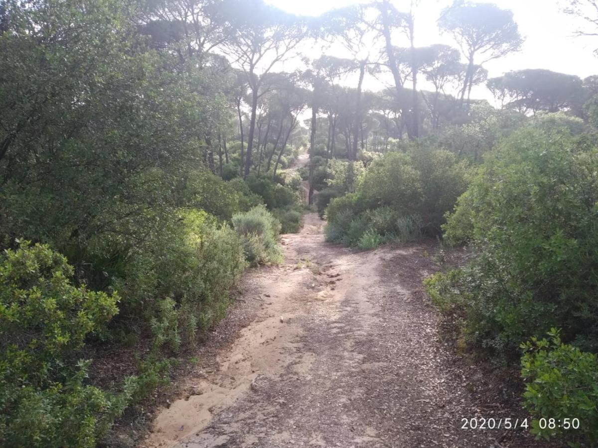 Casa Rural Los Pinos Hinojos Екстер'єр фото