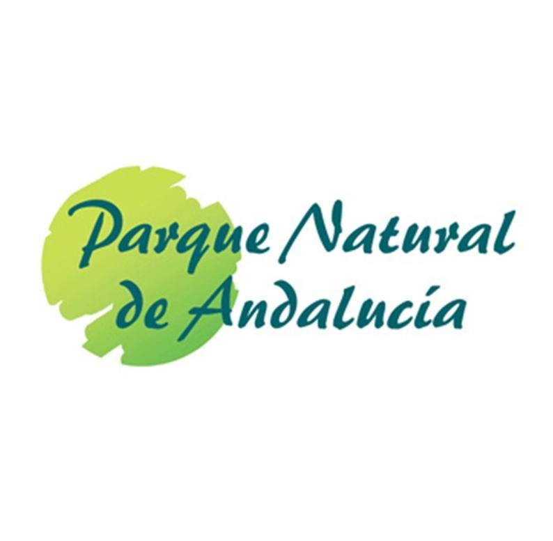Casa Rural Los Pinos Hinojos Екстер'єр фото
